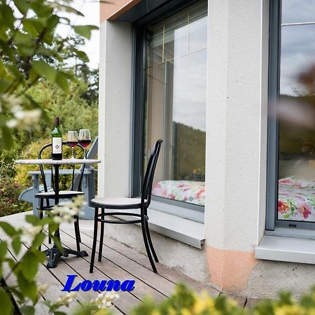 Appartements 5 Personnes Maya Et Louna Xonrupt-Longemer Bagian luar foto