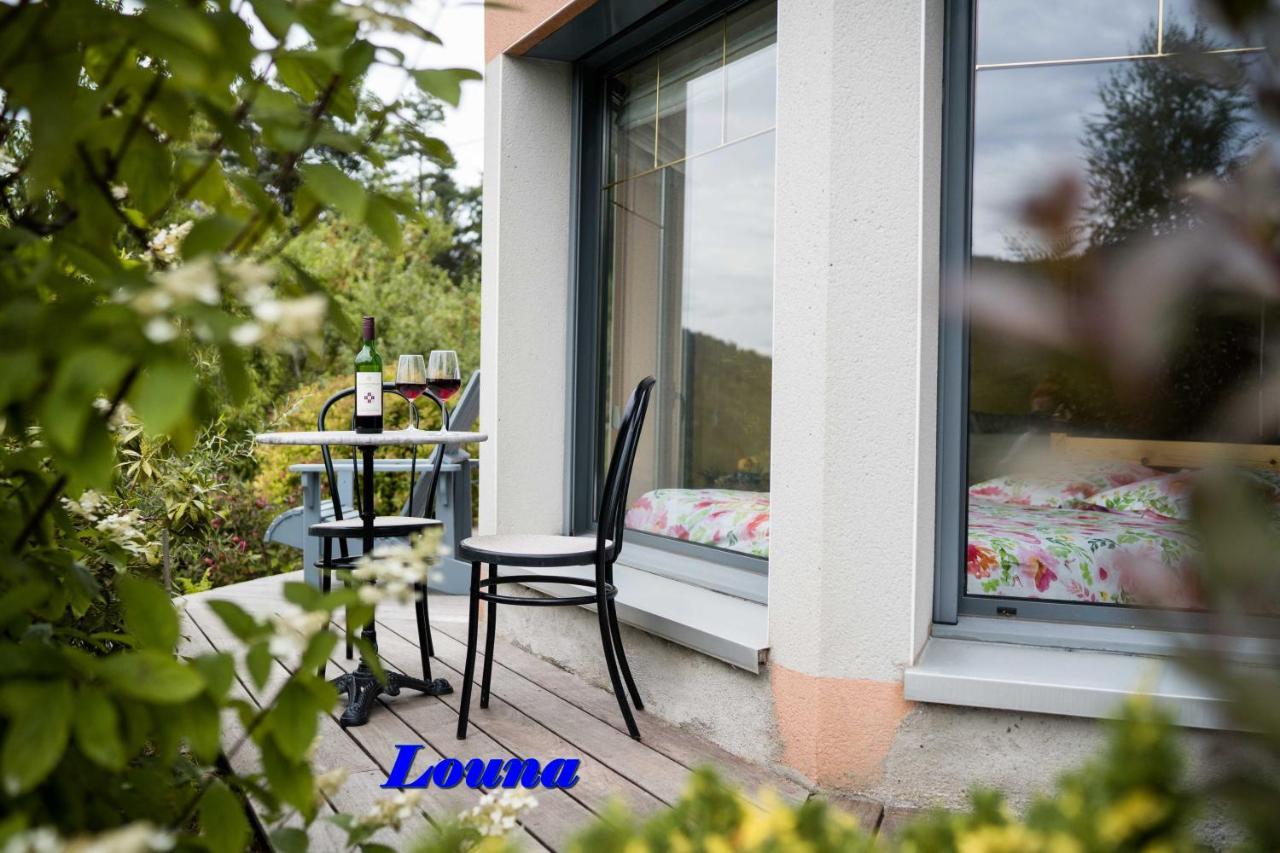 Appartements 5 Personnes Maya Et Louna Xonrupt-Longemer Bagian luar foto