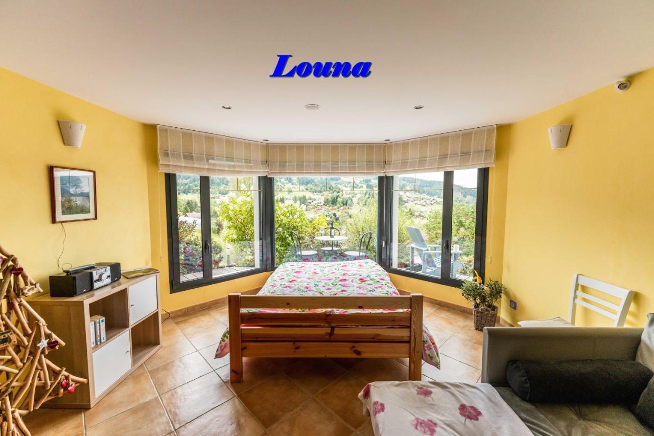 Appartements 5 Personnes Maya Et Louna Xonrupt-Longemer Bagian luar foto