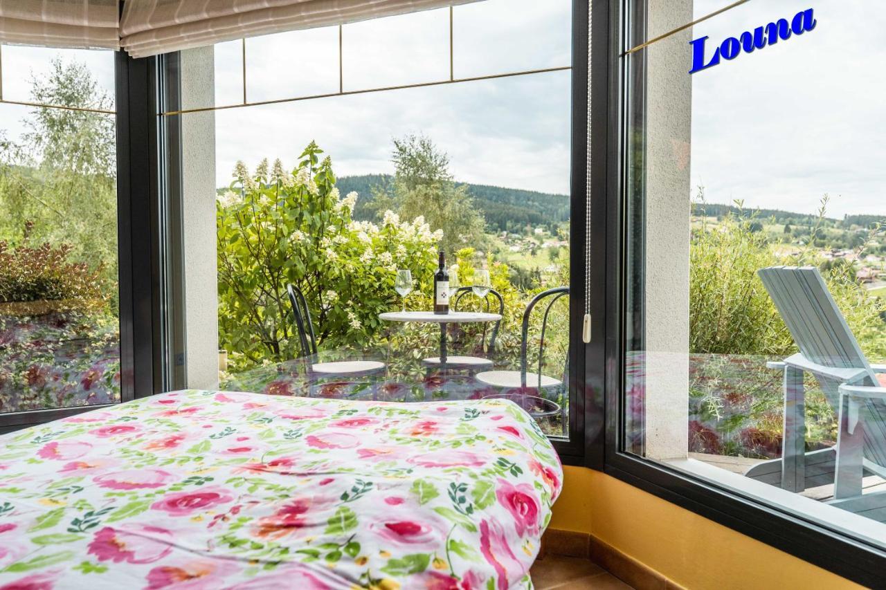 Appartements 5 Personnes Maya Et Louna Xonrupt-Longemer Bagian luar foto