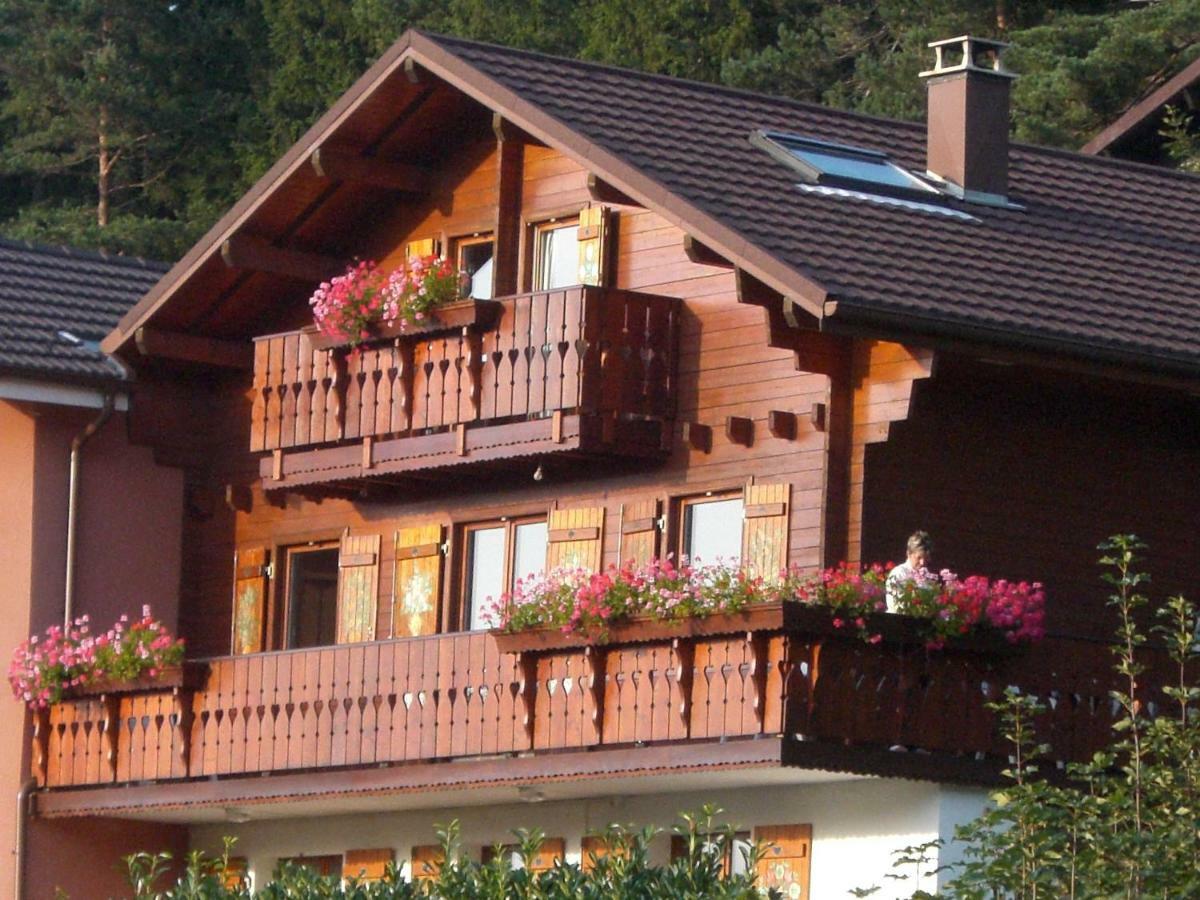Appartements 5 Personnes Maya Et Louna Xonrupt-Longemer Bagian luar foto