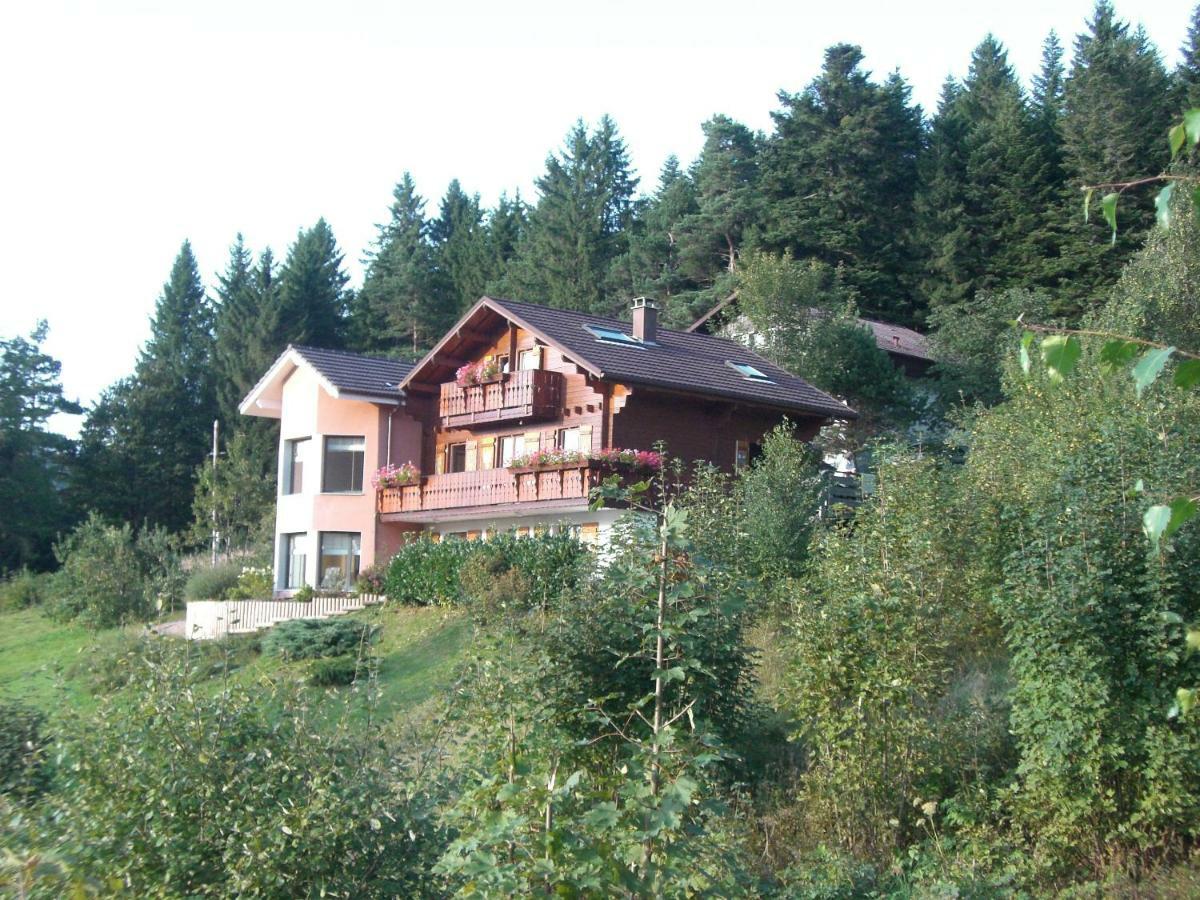 Appartements 5 Personnes Maya Et Louna Xonrupt-Longemer Bagian luar foto
