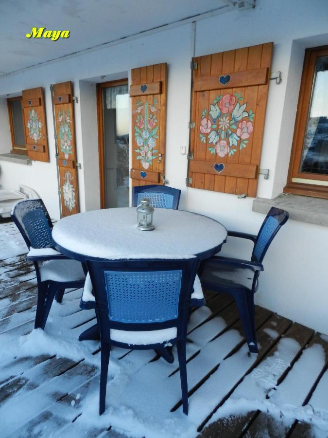 Appartements 5 Personnes Maya Et Louna Xonrupt-Longemer Bagian luar foto