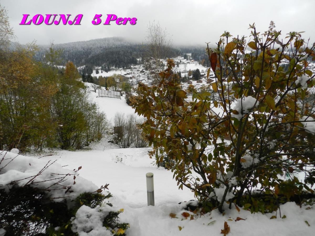 Appartements 5 Personnes Maya Et Louna Xonrupt-Longemer Bagian luar foto