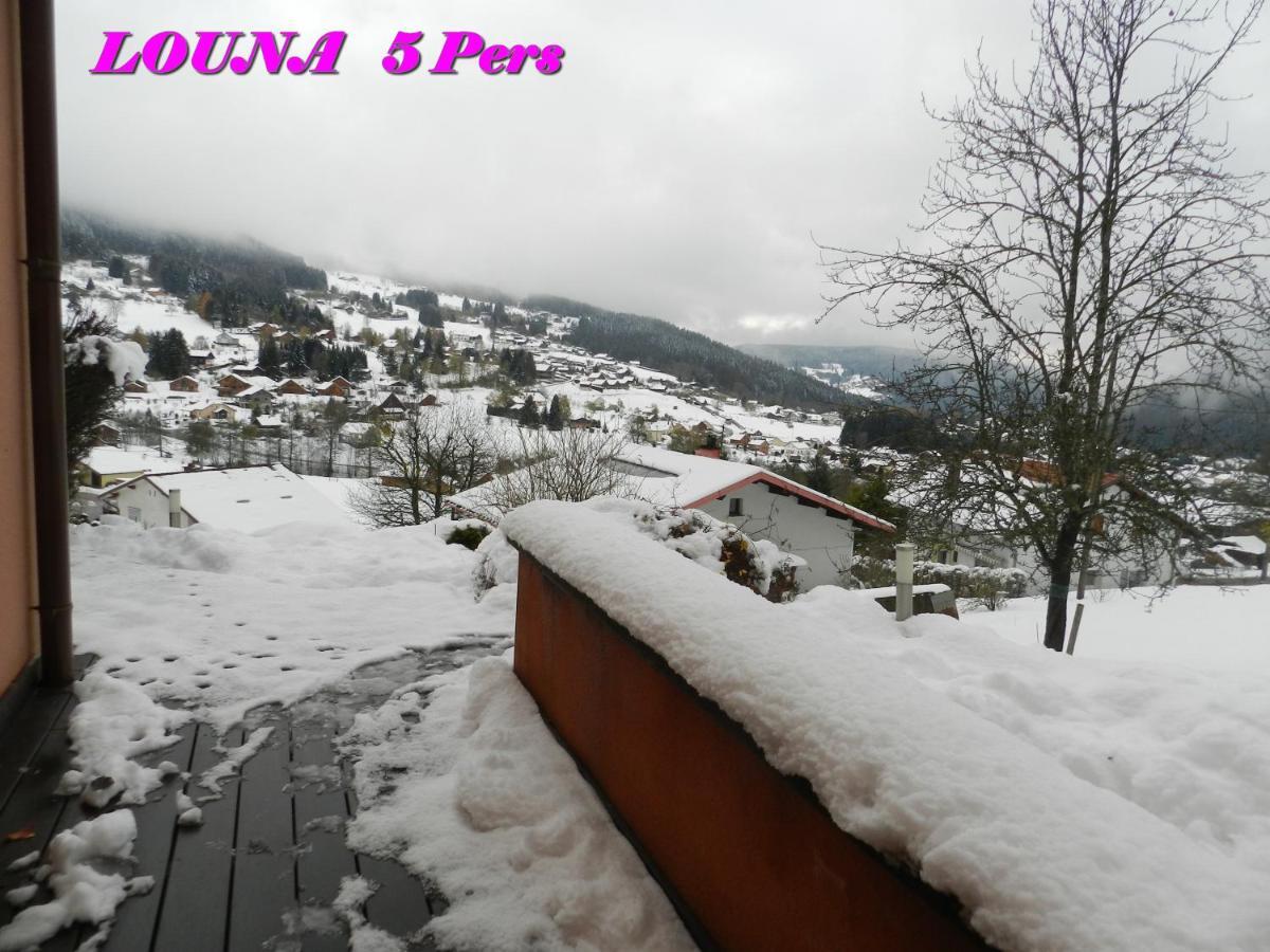 Appartements 5 Personnes Maya Et Louna Xonrupt-Longemer Bagian luar foto