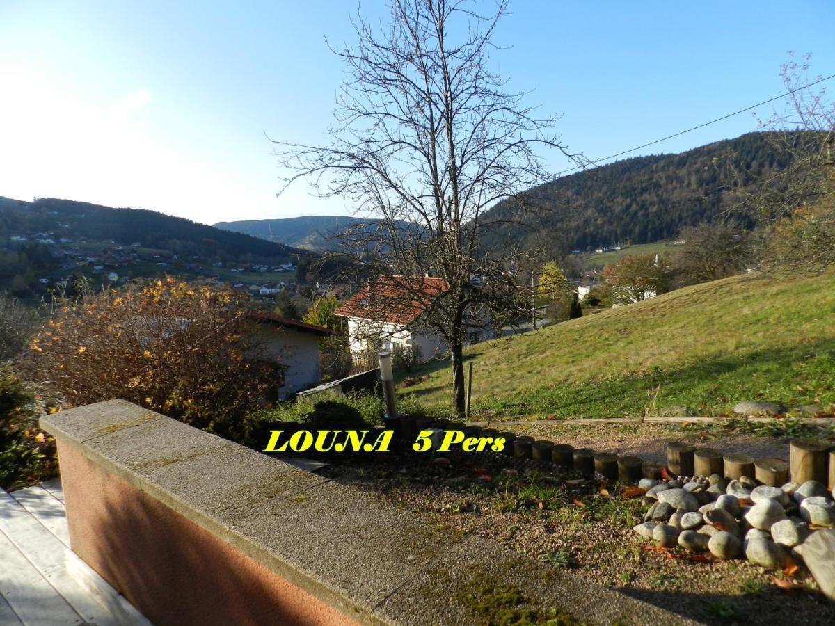 Appartements 5 Personnes Maya Et Louna Xonrupt-Longemer Bagian luar foto